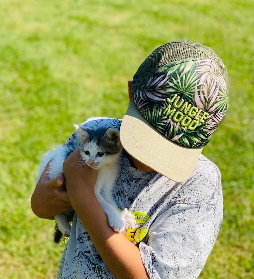 Greenvalleyglamping Sesce Pri Preboldu エクステリア 写真